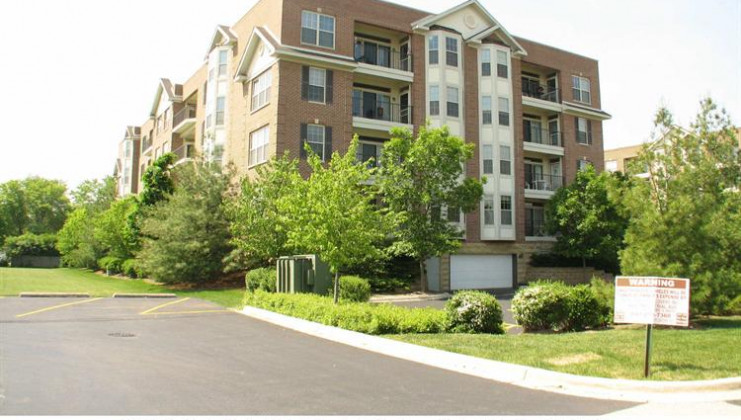 3115 town square dr unit 201, rolling meadows, il 60008