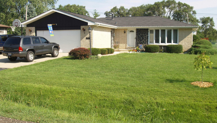7810 w 101st pl, palos hills, il 60465