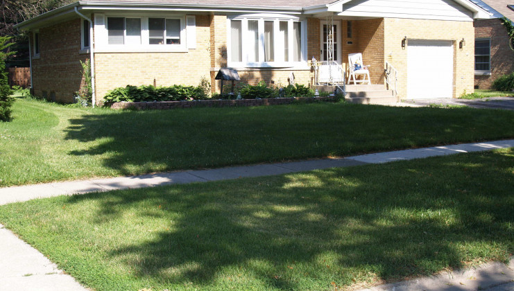 114 s forrest ave, arlington heights, il 60004