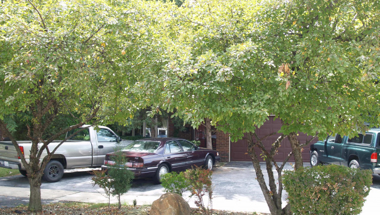 12000 s keeler ave, alsip, il 60803