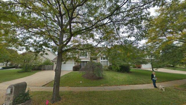 10 nicolette ave, schaumburg, il 60173