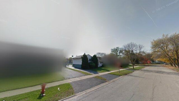 202 e rose st, glenwood, il 60425