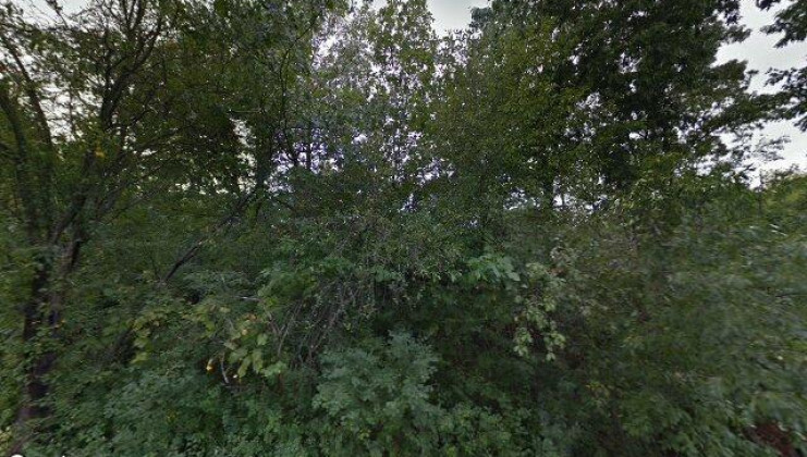 25210 n west tower dr, tower lakes, il 60010