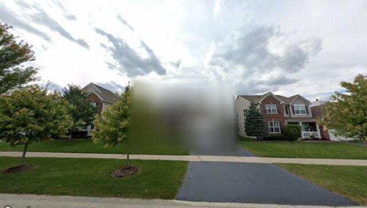 166 charleston ln, gilberts, il 60136