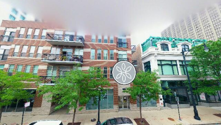 1919 s michigan ave unit 309, p-39, chicago, il 60616