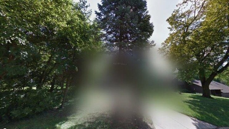 1135 cermark st, algonquin, il 60102