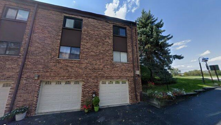 11101 ogorman dr unit 2-1a, palos hills, il 60465