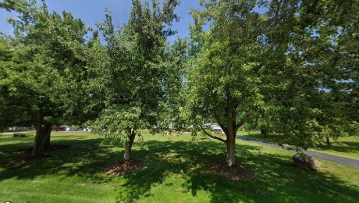 14120 w august zupec dr, wadsworth, il 60083