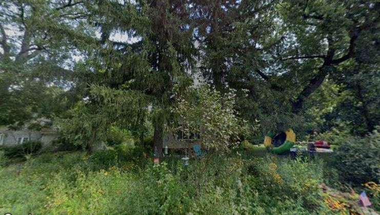 315 devonshire rd, tower lakes, il 60010