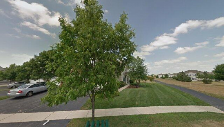 488 telluride dr, gilberts, il 60136