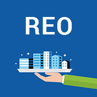 Exploring the Pros and Cons of Buying REO Properties